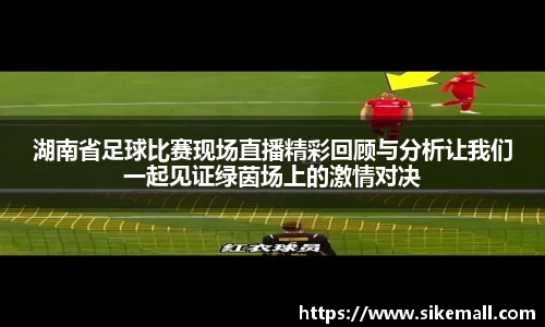 湖南省足球比赛现场直播精彩回顾与分析让我们一起见证绿茵场上的激情对决