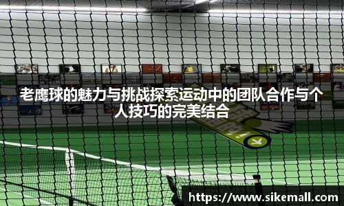 老鹰球的魅力与挑战探索运动中的团队合作与个人技巧的完美结合