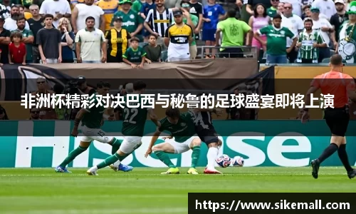 非洲杯精彩对决巴西与秘鲁的足球盛宴即将上演